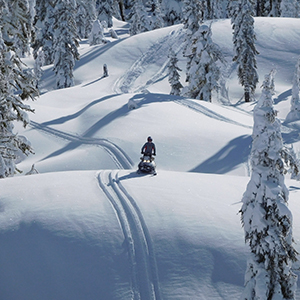 Low carbon travel guide