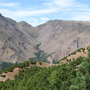 Mount Toubkal trekking guide