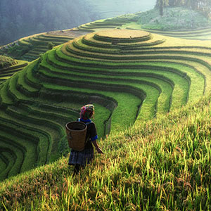 Top 10 photography holidays