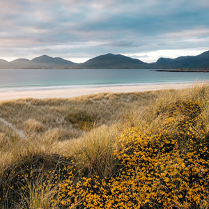 How to choose a small ship cruise in Scotland