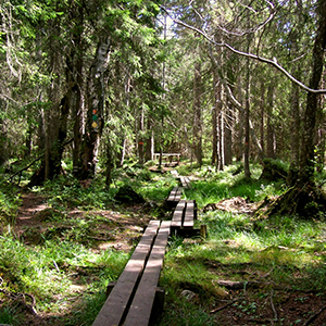 Top 10 self guided walking holidays