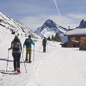 Snowshoeing in Austria