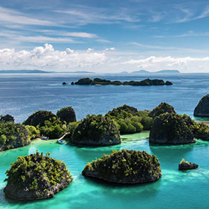 Snorkel safaris in Raja Ampat