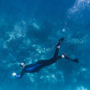 Snorkel safaris travel guide