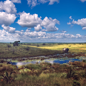 Things to see & do in KwaZulu Natal