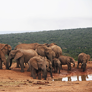 South Africa itineraries & maps