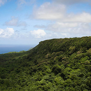 Things to see & do in Tonga