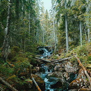 Sweden travel guide