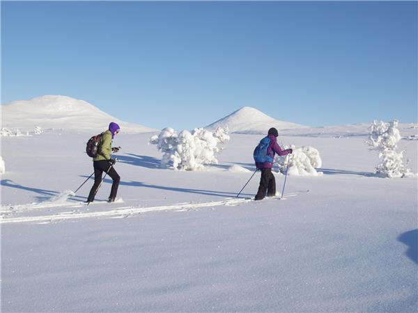 Venabu cross country skiing holiday in Norway