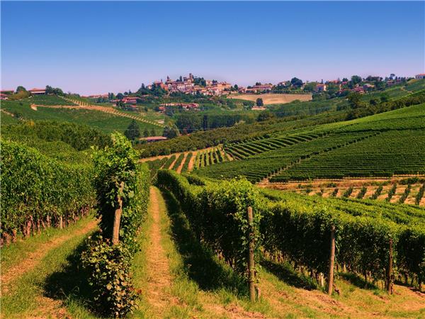 Piedmont cycling holiday, Italy 