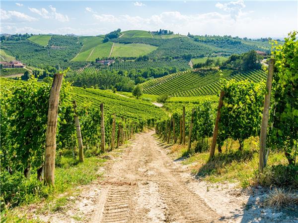 Piedmont cycling holiday, Italy 
