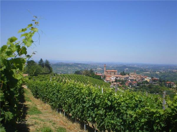 Piedmont cycling holiday, Italy
