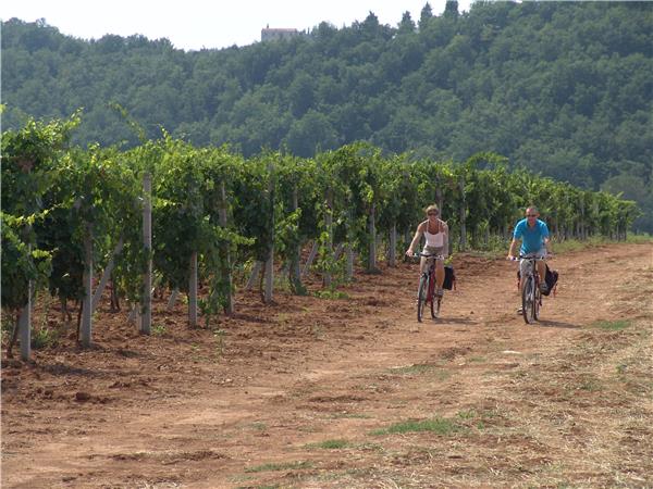 Chianti cycling holiday in Tuscany, self guided