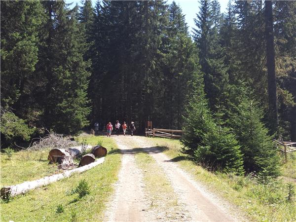 Montenegro walking holidays