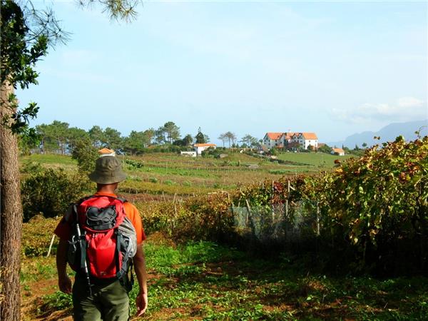 Madeira walking holiday, self guided