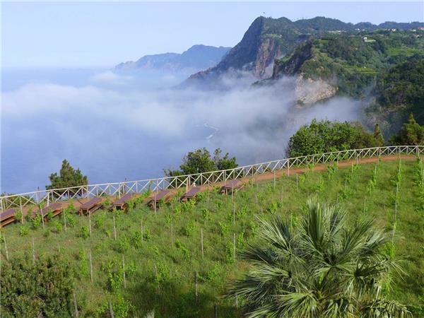 Madeira walking holiday, self guided