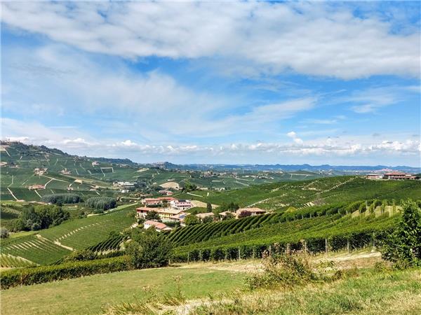 Piedmont walking holiday, Vineyards of Barolo