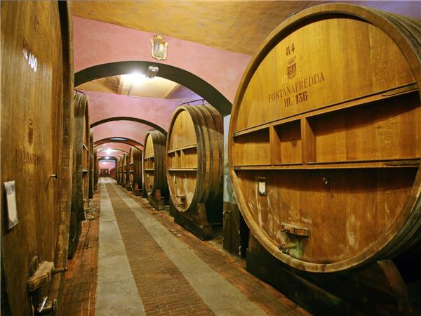 Piedmont walking holiday, Vineyards of Barolo