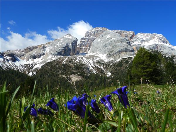 Dolomites walking holiday in Italy, self guided