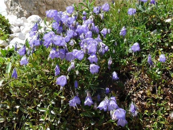 Dolomites walking holiday in Italy, self guided