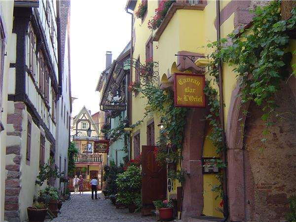 Alsace walking holiday in France