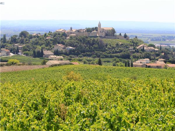 France cycling tour in Provence, Vaucluse Vineyards
