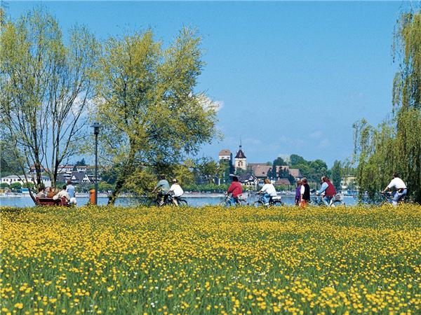 Lake Constance  cycling holiday in Austria and Germany
