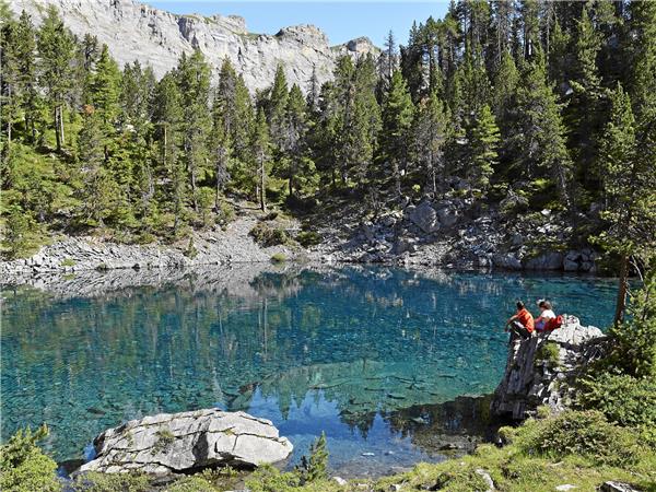 Swiss Alps walking holiday, self guided
