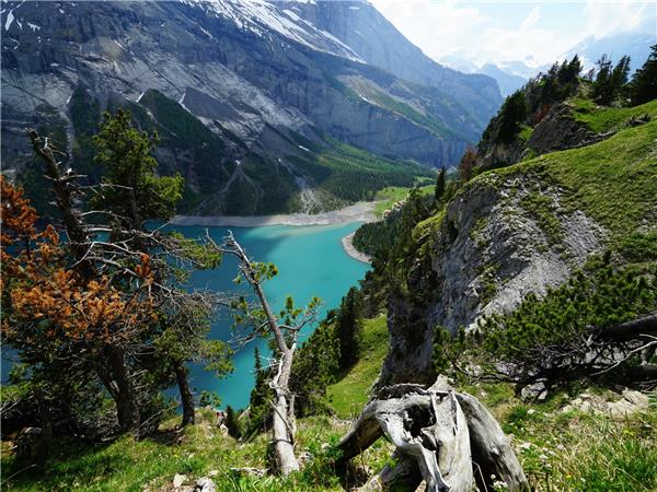 Swiss Alps walking holiday, self guided | Responsible Travel