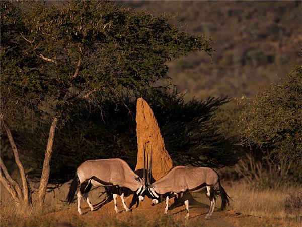Namibia small group holiday