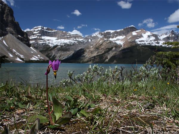 Canadian Rockies hiking holiday