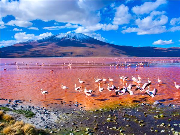 Chile and Argentina cycling holiday