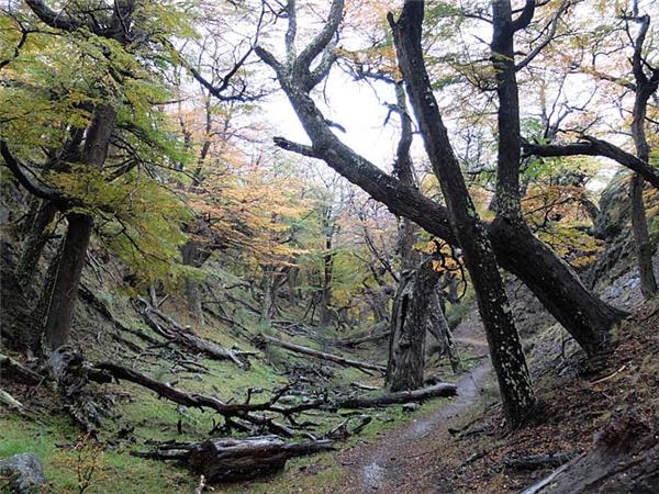 Patagonia trekking holiday, Fitzroy and Paine