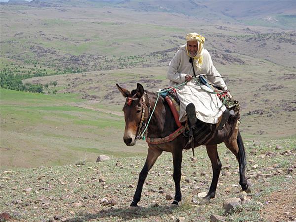 Atlas Mountains winter trekking holiday, Morocco
