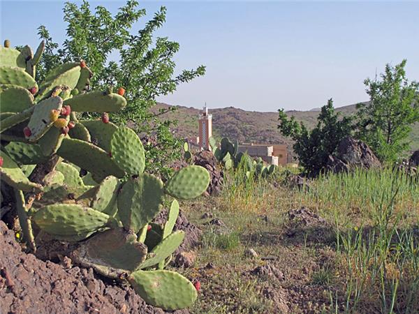 Atlas Mountains winter trekking holiday, Morocco