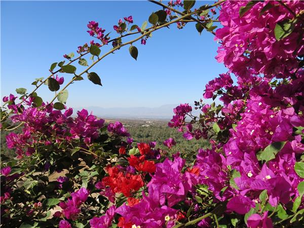 Atlas Mountains winter trekking holiday, Morocco