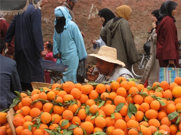 Short break to climb Mount Toubkal in Morocco