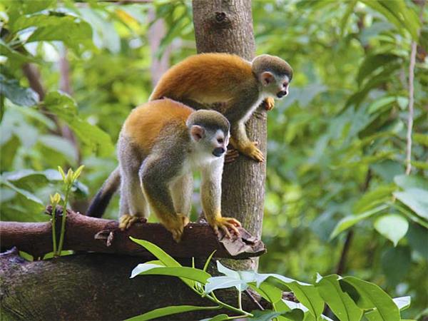 Family adventure holiday in Peru, Inca & Amazon