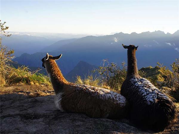Family adventure holiday in Peru, Inca & Amazon