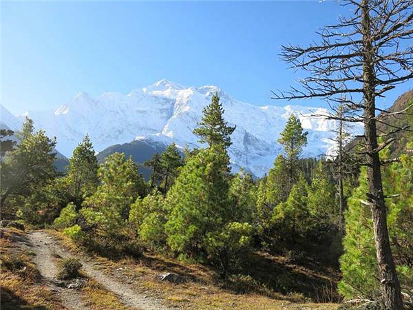 Mini Annapurna circuit trek in Nepal