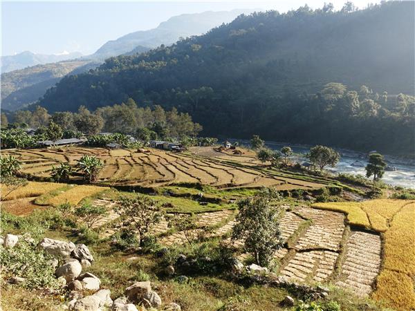 Manaslu Circuit trekking holiday, Nepal