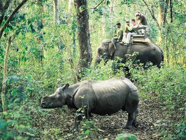 Annapurna luxury holiday in Nepal