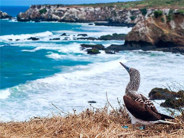 Galapagos Islands holiday