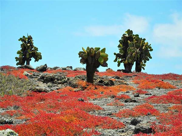 Galapagos Islands holiday
