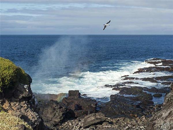 Galapagos Islands holiday