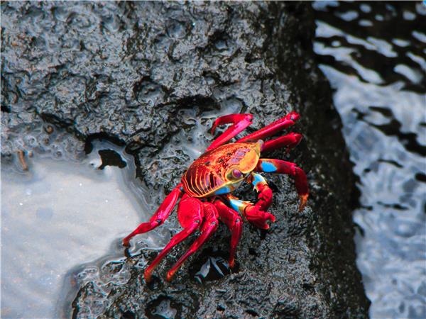 Galapagos Islands walking holiday
