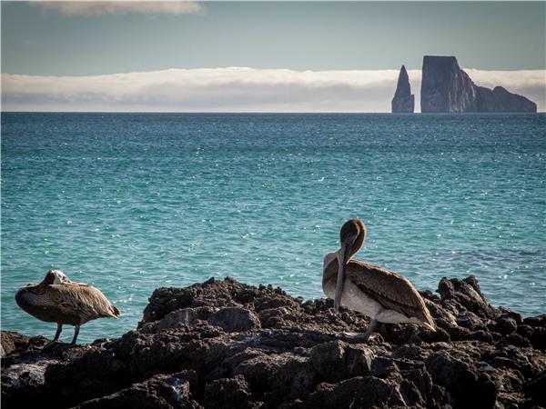 Galapagos Islands walking holiday