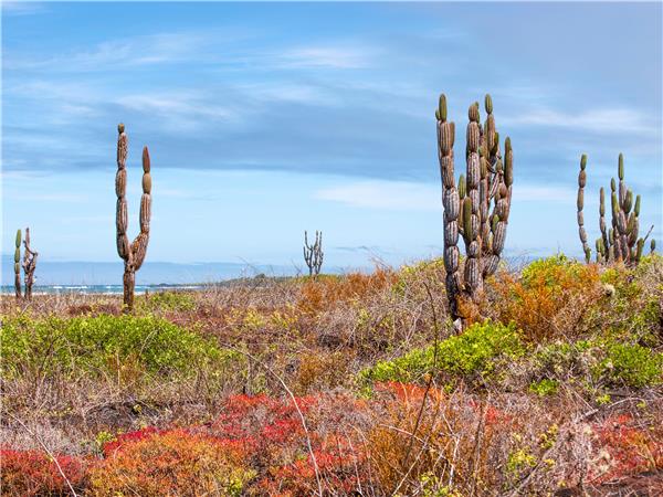 Galapagos Islands walking holiday