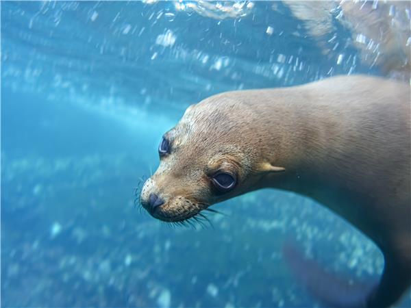 Galapagos Islands walking holiday