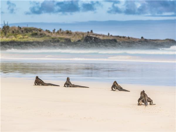 Galapagos Islands walking holiday